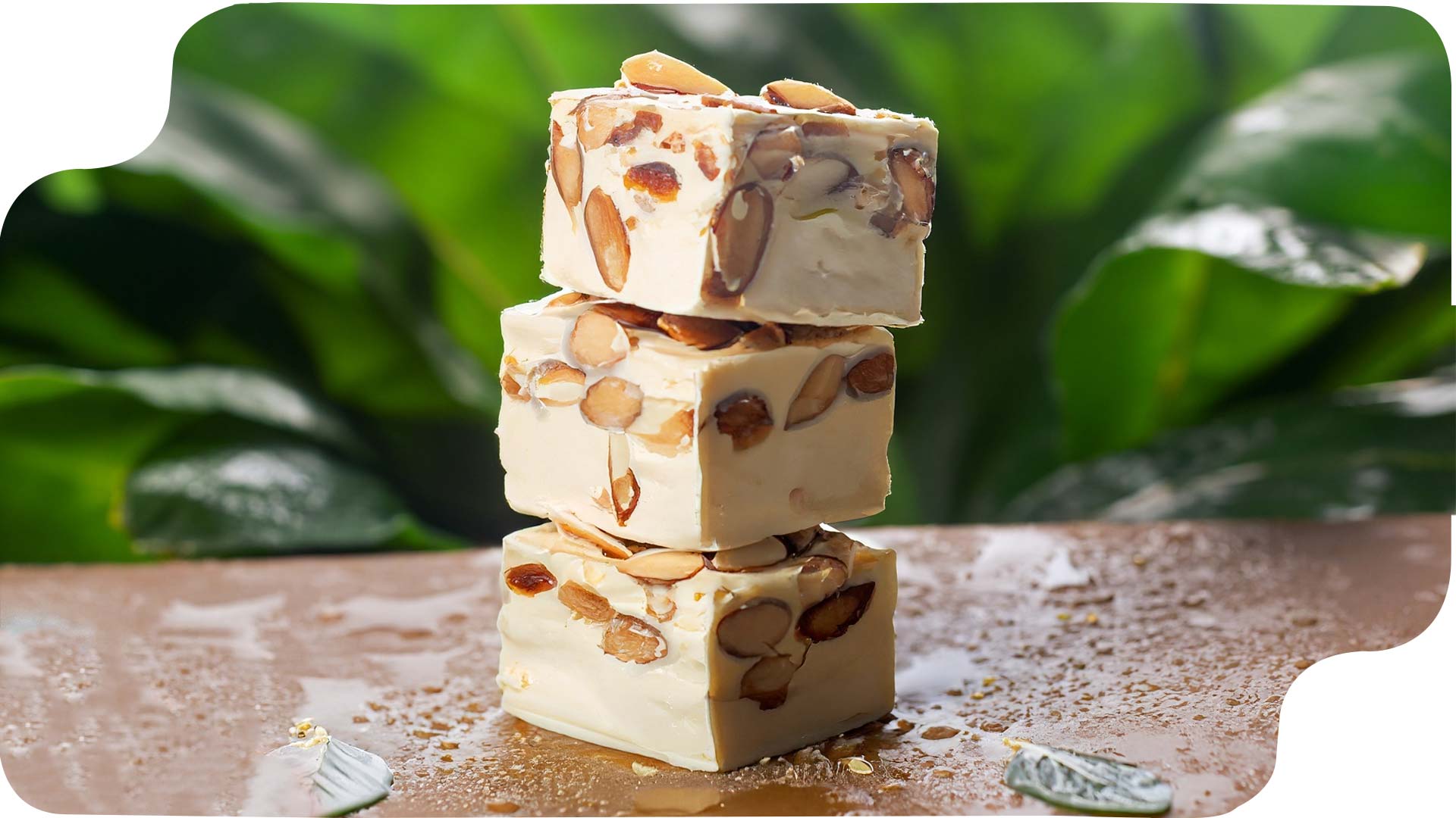 گز بادامی - انواع گز اصفهان