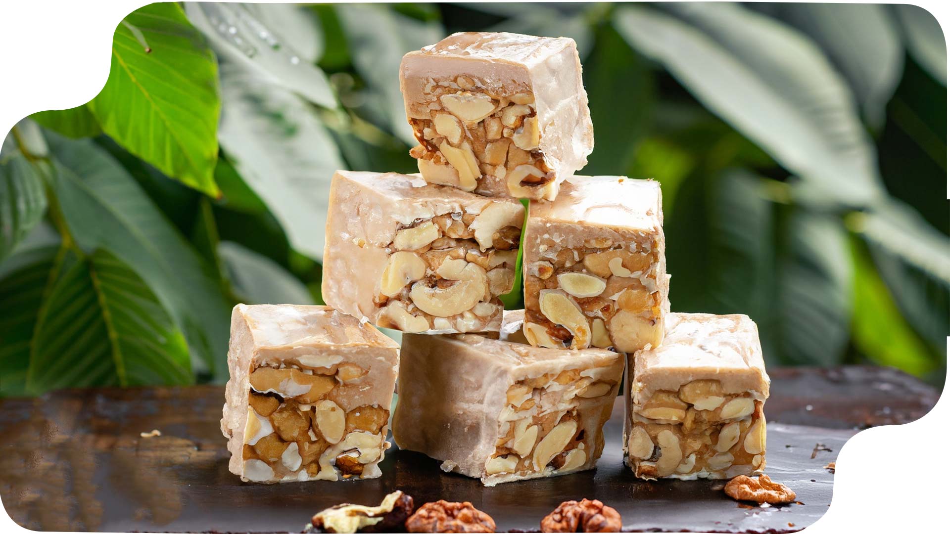 گز گردویی - انواع گز اصفهان