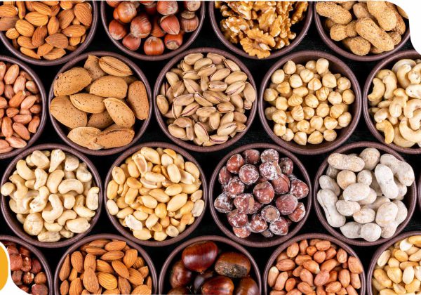 آجیل های خون ساز بدن